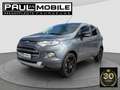 Ford EcoSport Titanium Navi Sitzheizung R-Cam PDC hi. Grau - thumbnail 3