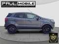 Ford EcoSport Titanium Navi Sitzheizung R-Cam PDC hi. Grau - thumbnail 7