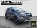 Ford EcoSport Titanium Navi Sitzheizung R-Cam PDC hi. Grau - thumbnail 1