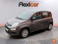 Fiat Panda Hybrid 1.0 Gse 51kw (70CV) Gris - thumbnail 3