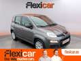 Fiat Panda Hybrid 1.0 Gse 51kw (70CV) Gris - thumbnail 1