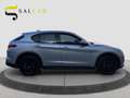 Alfa Romeo Stelvio 2.2 rwd 190cv Executive 2020 Argento - thumbnail 4