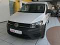 Volkswagen Caddy Kasten TSI BMT*SHZ*el.FH*PDC*TOP Zustan Weiß - thumbnail 6