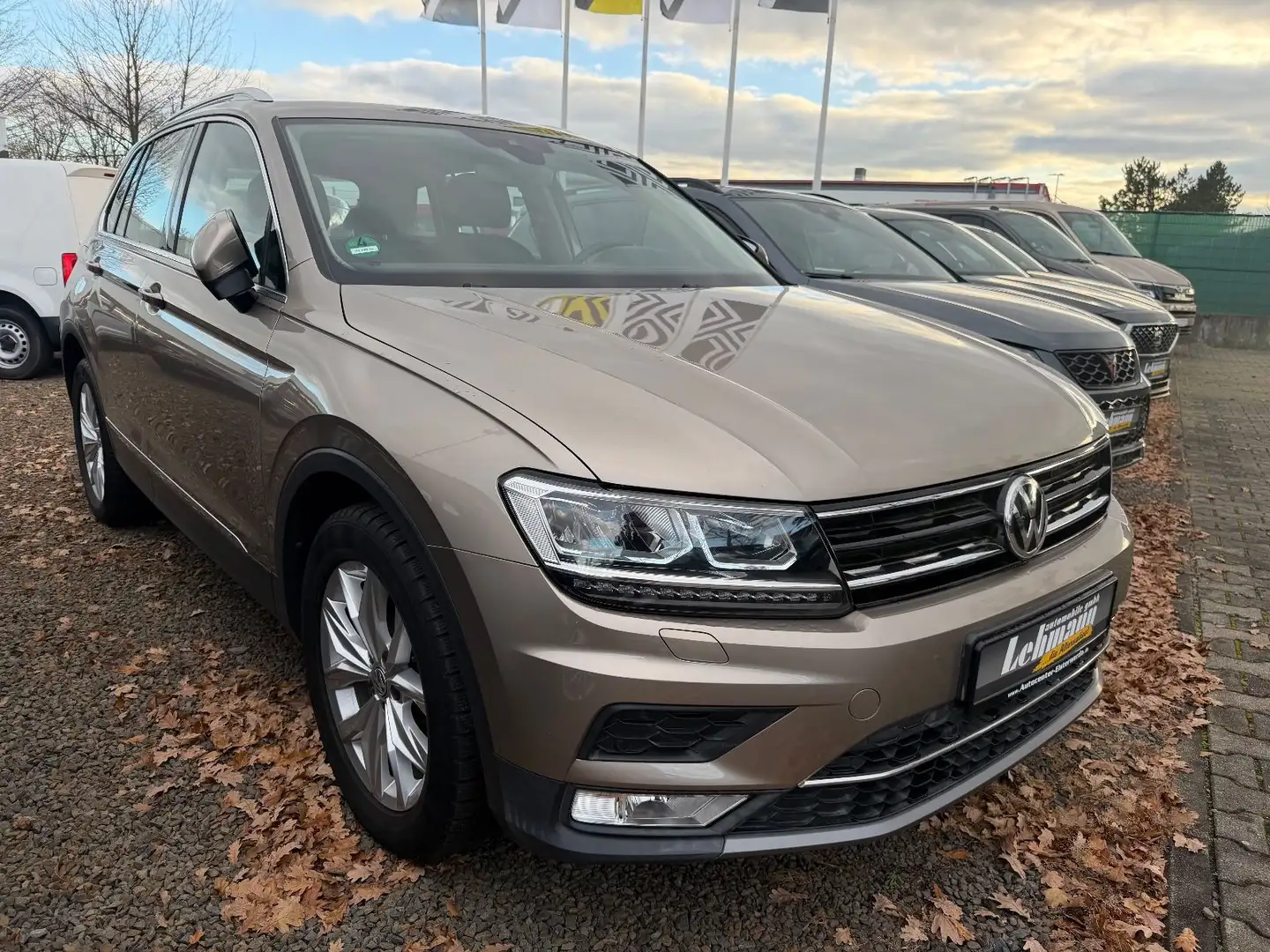 Volkswagen Tiguan 2.0 TDI ( Highline ) Beige - 2
