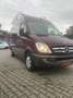 Mercedes-Benz Sprinter 319 CDI Sprinter 906.635 Aut. Rot - thumbnail 1