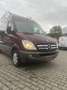 Mercedes-Benz Sprinter 319 CDI Sprinter 906.635 Aut. Rot - thumbnail 2