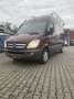 Mercedes-Benz Sprinter 319 CDI Sprinter 906.635 Aut. Rot - thumbnail 3
