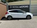 Ford Focus Easy 1,0 EcoBoost Weiß - thumbnail 5