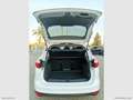 Ford C-Max 1.6 TDCi 115 CV Titanium Bianco - thumbnail 7