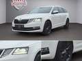 Skoda Octavia Combi 2,0 TDI DSG*ACC*RFK*1.BESITZ*KREDIT*GARANTIE Weiß - thumbnail 9
