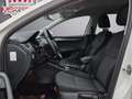 Skoda Octavia Combi 2,0 TDI DSG*ACC*RFK*1.BESITZ*KREDIT*GARANTIE Weiß - thumbnail 15