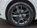 Skoda Octavia Combi 2,0 TDI DSG*ACC*RFK*1.BESITZ*KREDIT*GARANTIE Weiß - thumbnail 11