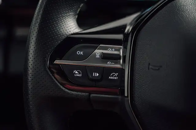 Peugeot 308 view 17
