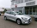 Ford Focus Focus 1.5 EcoBlue 120 CV SW Business Grau - thumbnail 6
