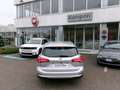 Ford Focus Focus 1.5 EcoBlue 120 CV SW Business Grau - thumbnail 4