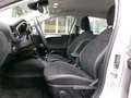 Ford Focus Focus 1.5 EcoBlue 120 CV SW Business Grau - thumbnail 10