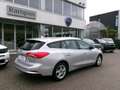Ford Focus Focus 1.5 EcoBlue 120 CV SW Business Grau - thumbnail 3