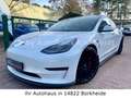 Tesla Model 3 Performance *STYLING PACK'*1HD*VAT Weiß - thumbnail 1
