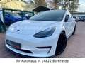 Tesla Model 3 Performance *STYLING PACK'*1HD*VAT Weiß - thumbnail 2