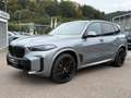 BMW X5 0e M-Pro ACC SuView.PanoD.Int-Aktiv.AHK 22" Szary - thumbnail 5
