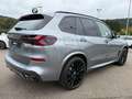 BMW X5 0e M-Pro ACC SuView.PanoD.Int-Aktiv.AHK 22" Szary - thumbnail 9