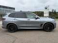 BMW X5 0e M-Pro ACC SuView.PanoD.Int-Aktiv.AHK 22" Szary - thumbnail 10