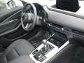 Mazda CX-30 e-SKYACTIV-G 2.0 122 Exclusive-line Spezial-Preis Blanc - thumbnail 9
