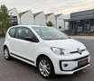 Volkswagen up! club up! Sport Black Edition /Klima/PDC/SHZ Weiß - thumbnail 2