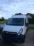 Opel Movano kopfdichtungschade netto 7000 - thumbnail 8