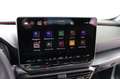 CUPRA Formentor 2.0 TDI 150 PS DSG Grau - thumbnail 13