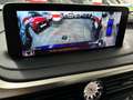 Lexus RX 450h Luxury Blauw - thumbnail 15