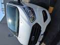 Ford Tourneo Custom - thumbnail 1