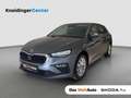 Skoda Scala Selection TSI Grau - thumbnail 1