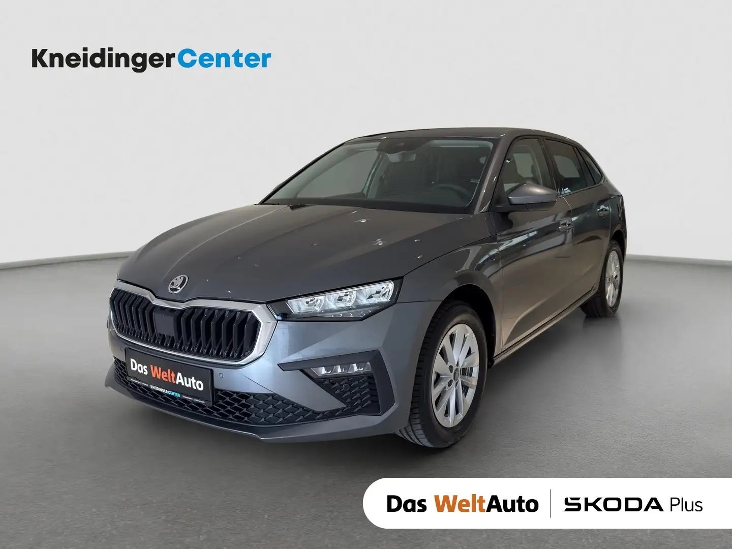 Skoda Scala Selection TSI Grau - 1