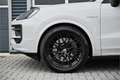 Porsche Cayenne 3.0 E-Hybrid / SPORT DESIGN / PANO / PASSENGER DIS Gris - thumbnail 23