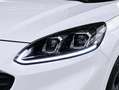 Ford Kuga 1.5 EcoBoost ST-Line FWD 150 Blanco - thumbnail 25