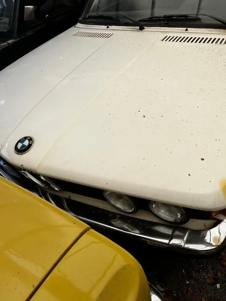 BMW 316 2p, foto 4