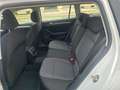 Volkswagen Passat Variant 1.6TDI Bluemotion 88kW Blanc - thumbnail 15
