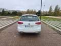 Volkswagen Passat Variant 1.6TDI Bluemotion 88kW Blanc - thumbnail 6