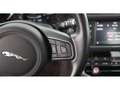 Jaguar XF 20d Pure Aut XENON ASSIST TEMPOMAT Grau - thumbnail 20