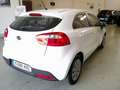 Kia Rio 1.2 Concept Wit - thumbnail 3