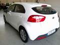 Kia Rio 1.2 Concept Wit - thumbnail 4