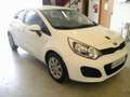 Kia Rio 1.2 Concept Wit - thumbnail 2