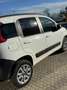Fiat Panda Panda 1.3 mjt 16v 4x4 75cv E5 AUTOCARRO! Weiß - thumbnail 4