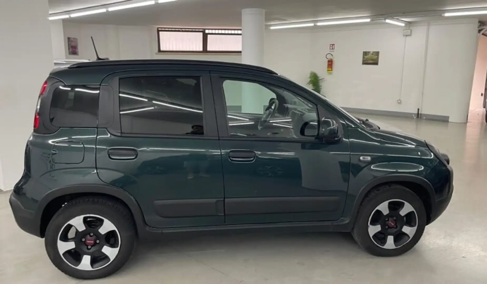 Fiat Panda Panda III 2021 Cross 1.0 firefly hybrid Cross s Verde - 2