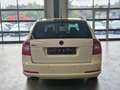 Skoda Octavia OCTAVIA RS COMBI 2.0 TDI LEDER NAV XENON SHZ PDC Weiß - thumbnail 6