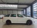 Skoda Octavia OCTAVIA RS COMBI 2.0 TDI LEDER NAV XENON SHZ PDC Weiß - thumbnail 4