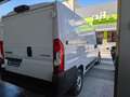 Citroen Jumper Fg. 2.2 Diesel 30 L2H1 S 120 Blanco - thumbnail 7