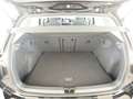 Volkswagen Golf VIII 1.0 eTSI Life *Pano*Matrix*RFK*Navi*Ap Zwart - thumbnail 12