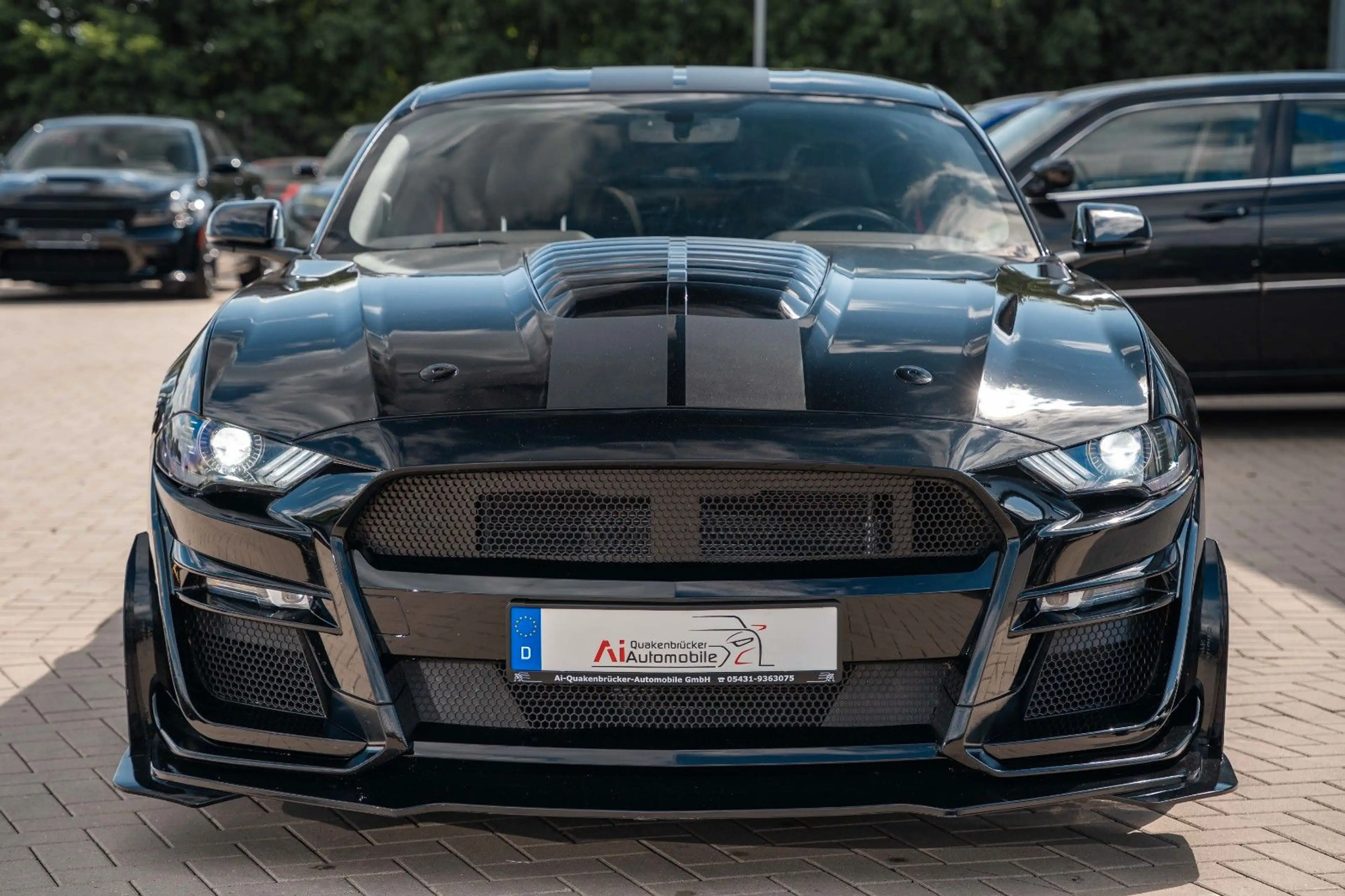 Ford Mustang GT 5,0 PREMIUN PERFORMANCE GT 500 SHELBY — photo 9